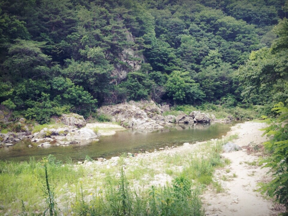 반디하우스캠핑장 이미지