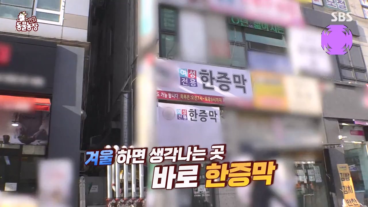 TV 동물농장.E1156.240129p-NEXT.mp4_20240128_191729.553.jpg