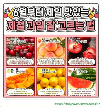 6월 제철 과일 추천 여름 과일 종류_6
