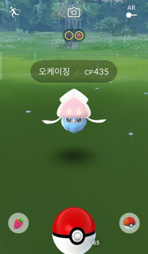  포켓몬고 오케이징 기간한정이벤트