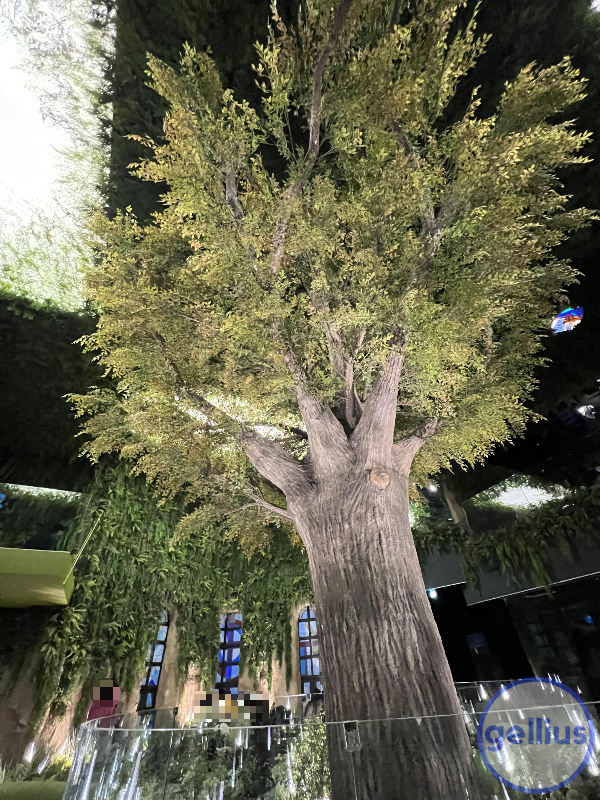 메이드림 2층 나무