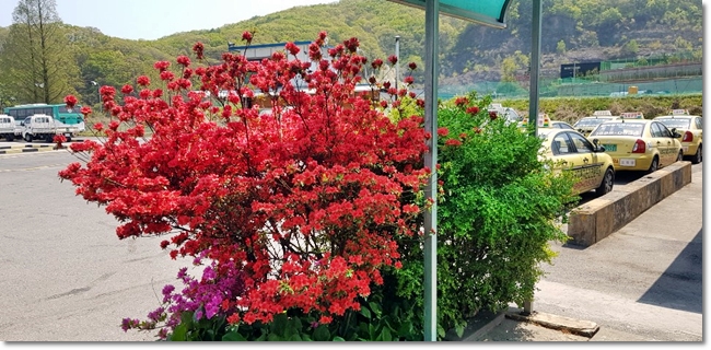 한가한 도로주행 코스를 찾나요? 4