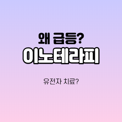 이노테라피 어떤 기업인가요? 이노테라피 급등이유 분석
