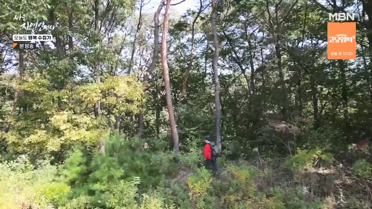 나는 자연인이다.E578.231102p-NEXT.mp4_20231102_202926.917.jpg