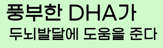  2. 풍부한 DHA가 두뇌발달에 도움을 준다.