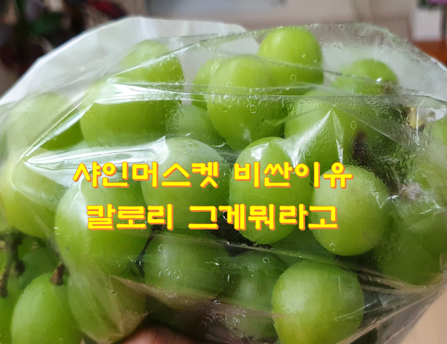  샤인머스켓 비싼이유 칼로리 그게뭐라고