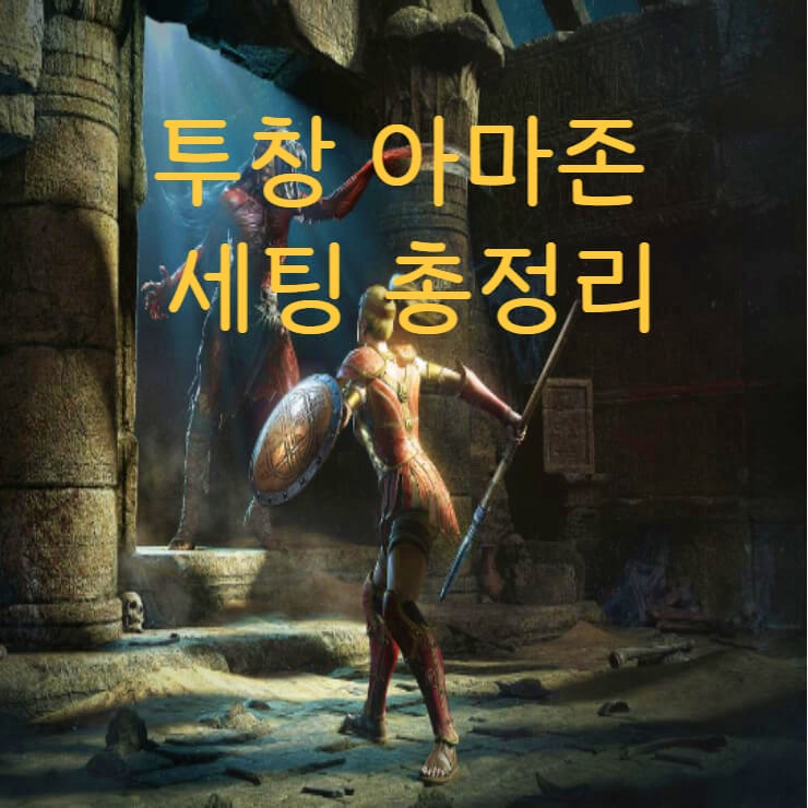 디아블로2 투창 아마존(재벌마) 세팅 총 정리 디아블로2 투창 아마존(재벌마) 세팅 총 정리
