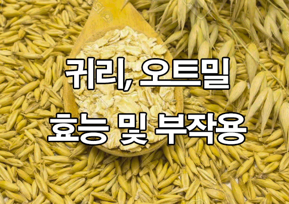  귀리 효능 및 부작용 : 오트밀