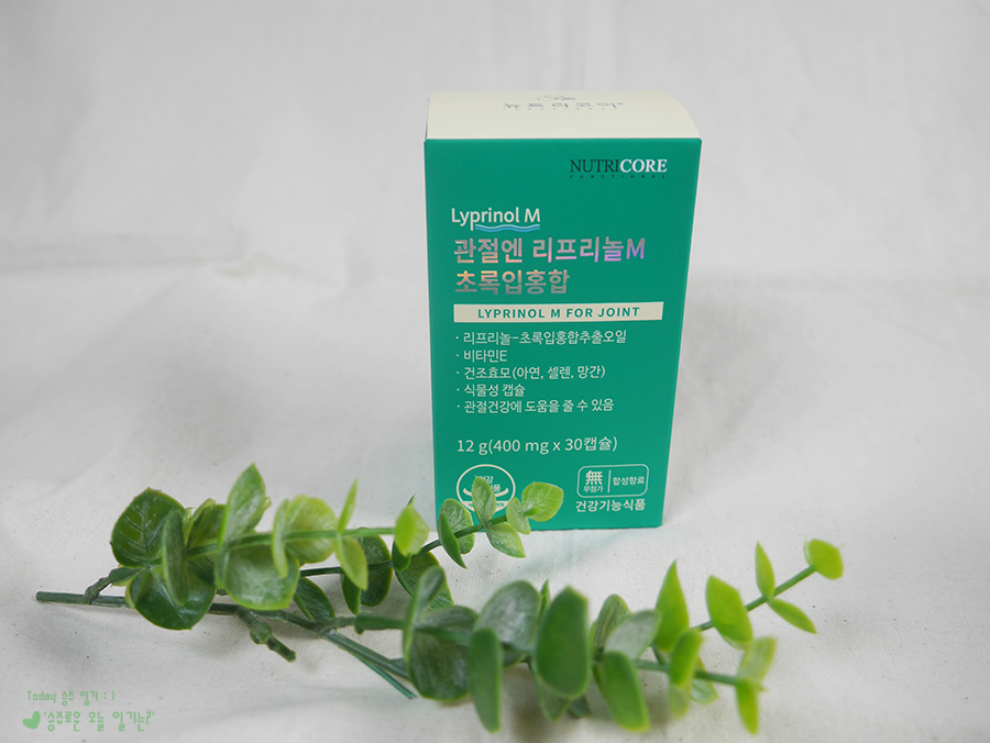 제일 나아요 초록잎홍합오일 이게 2