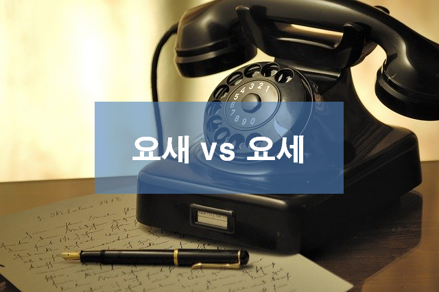  요새 요세 구분 및 올바른 맞춤법
