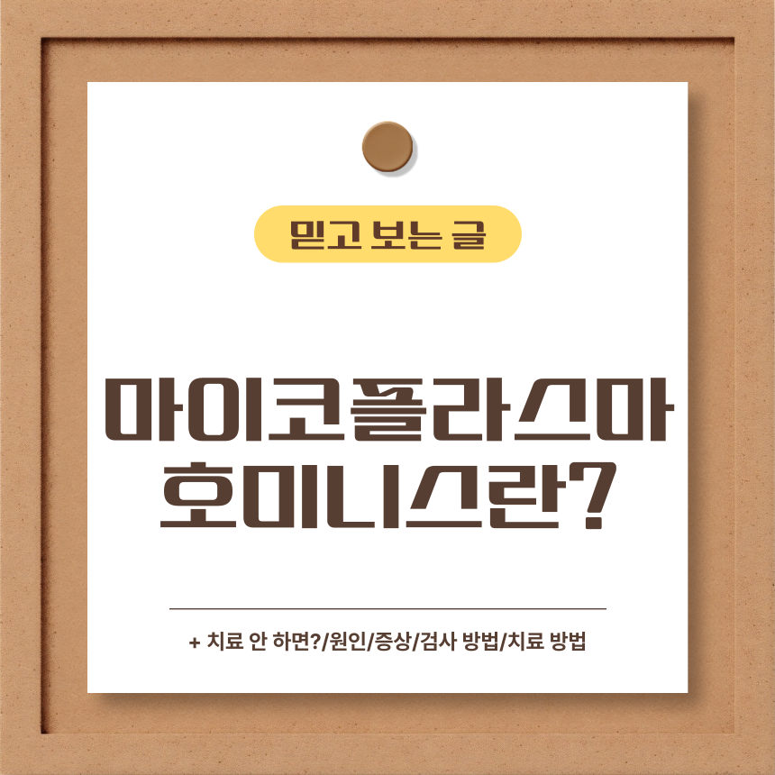  마이코플라즈마 호미니스란?