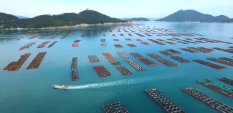 완도 가볼만한곳 베스트10 필수 관광명소 추천_16