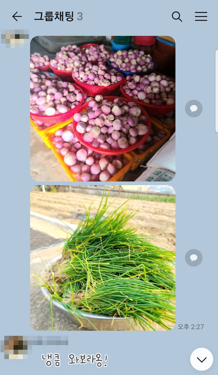 순무김치5kg 주문 택배 15