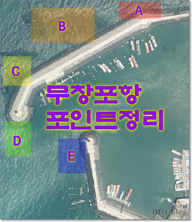 230606(화) 무창포 프로낚시 부자 가리비 인생 첫 참돔낚시 입문 조행기