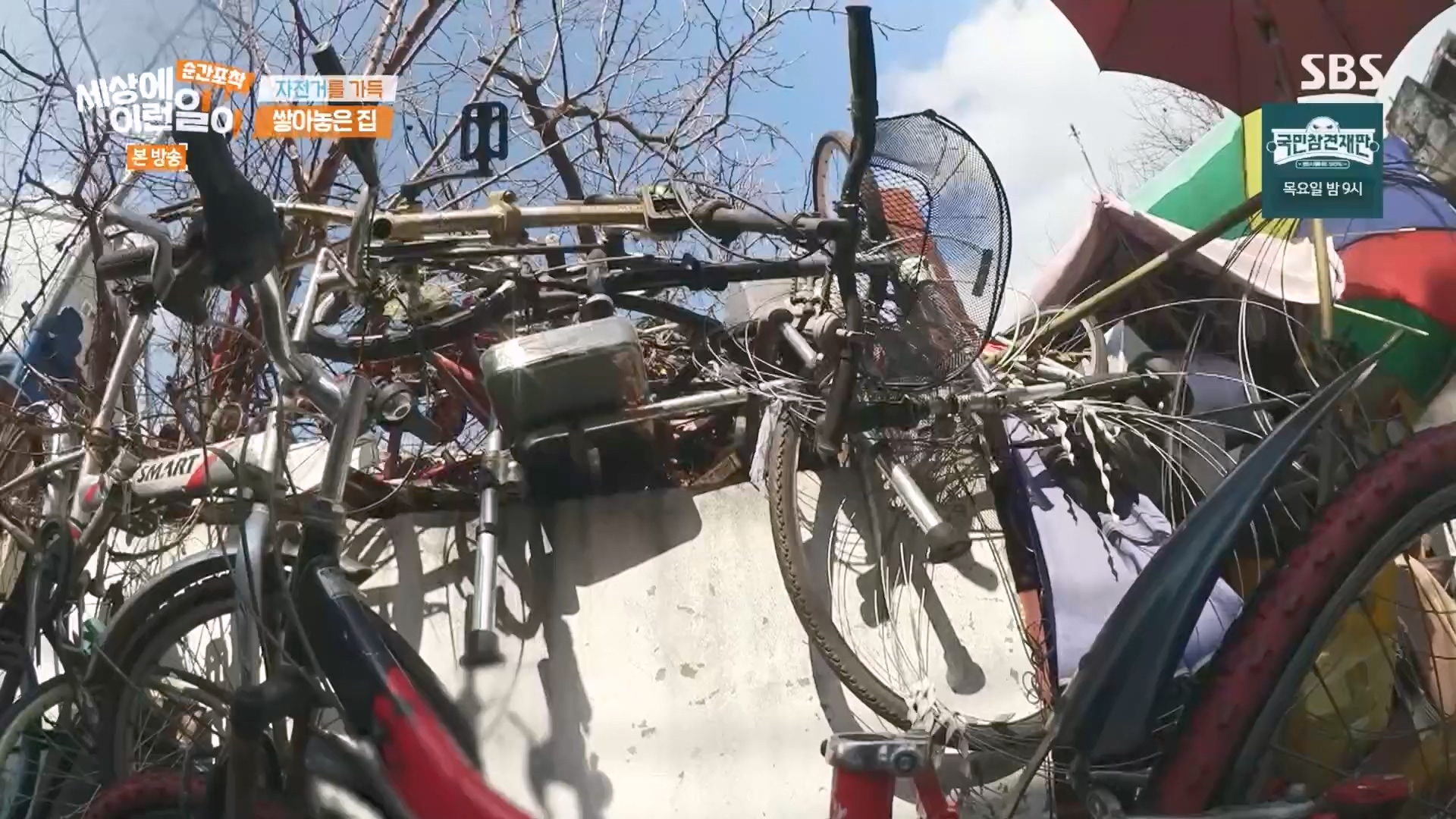 순간포착 세상에 이런일이.E1266.240224p.H264-F1RST.mp4_20240225_162515.964.jpg