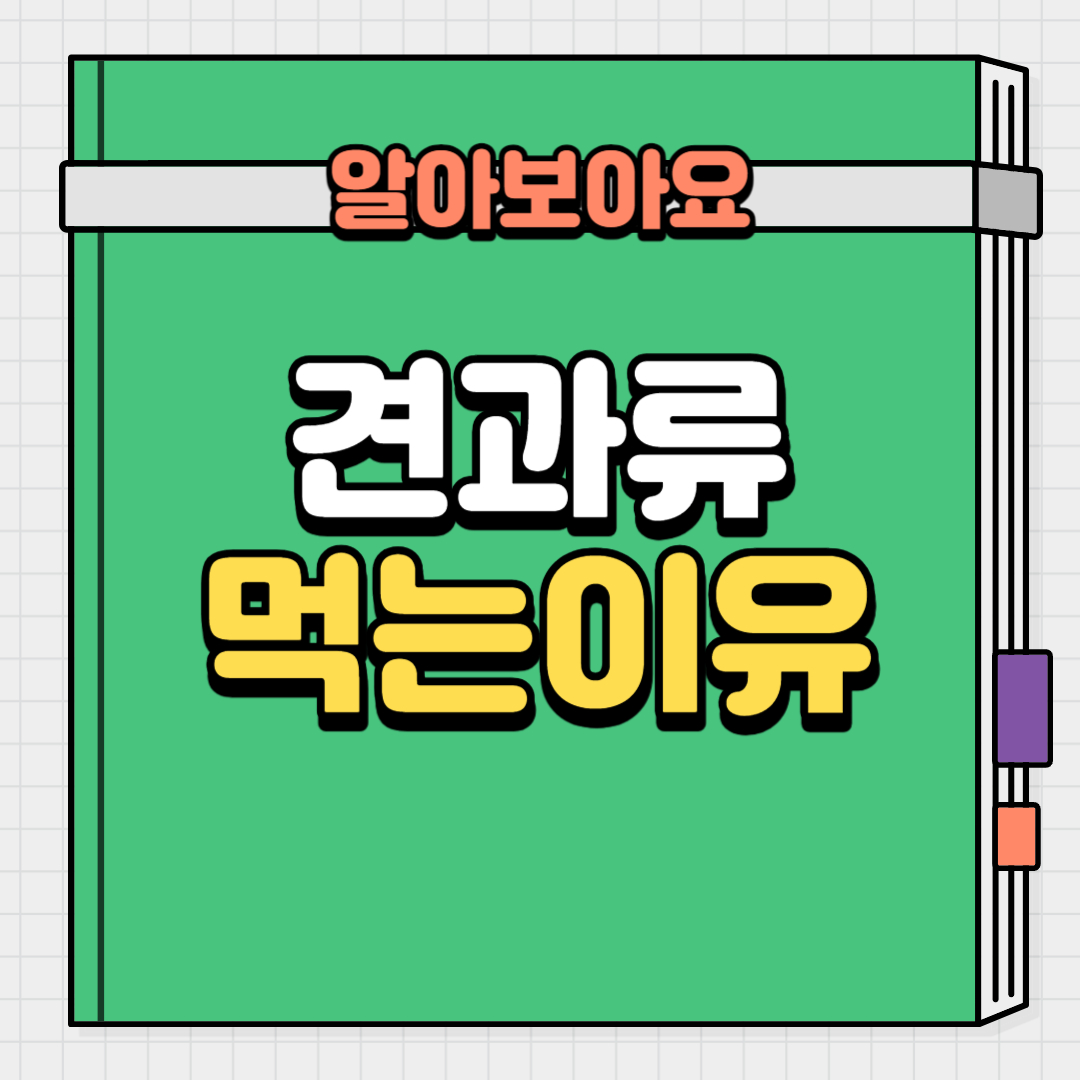  다이어트 할때 견과류 먹어야 하는 이유