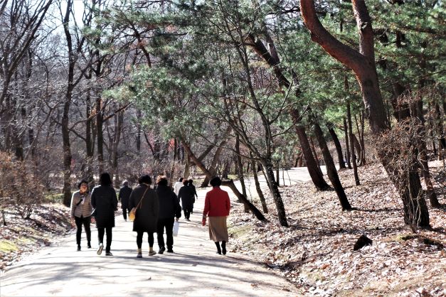 관람객들 뒷모습&#44; 모두 검은 옷&#44; 한 분은 붉은 상의&#44; 한 분만 앞 모습&#44; 회색 옷&#44; 주변은 울창한 나무숲&#44;
