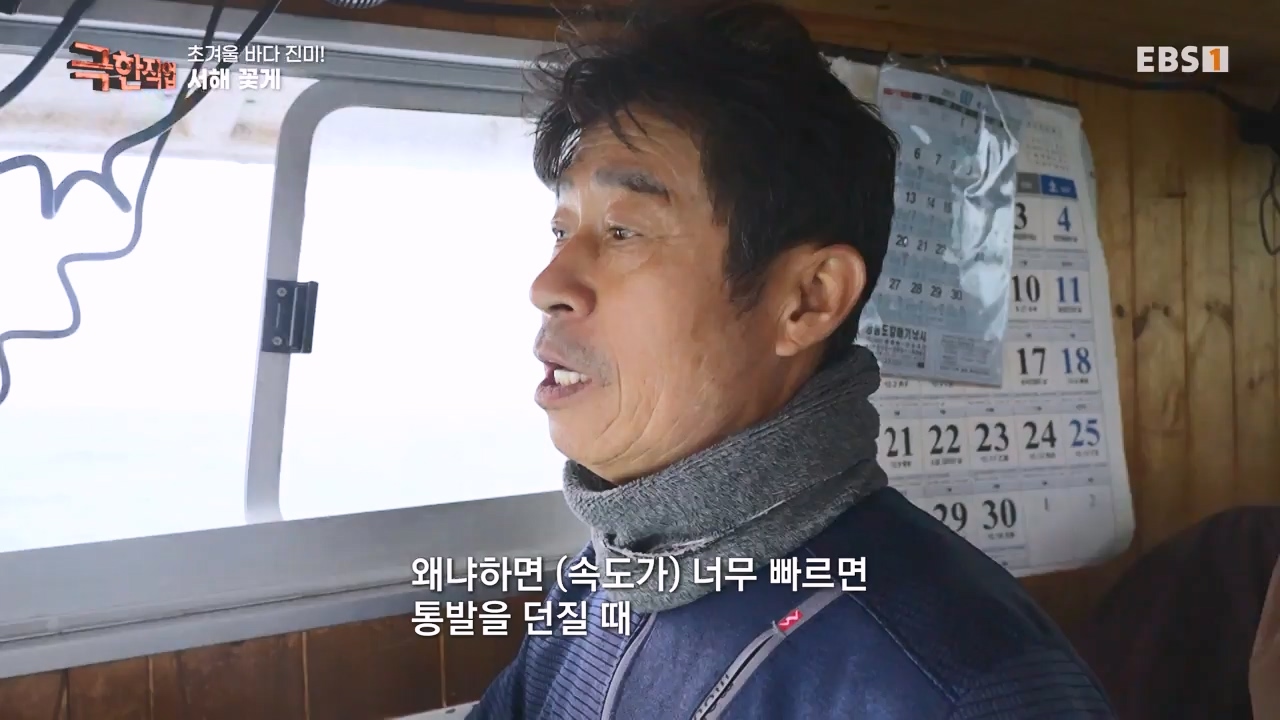 TV - 전 국민의 평생학교 EBS초겨울 바다 진미! 동해 방어, 서해 꽃게.mp4_20231228_204345.686.jpg