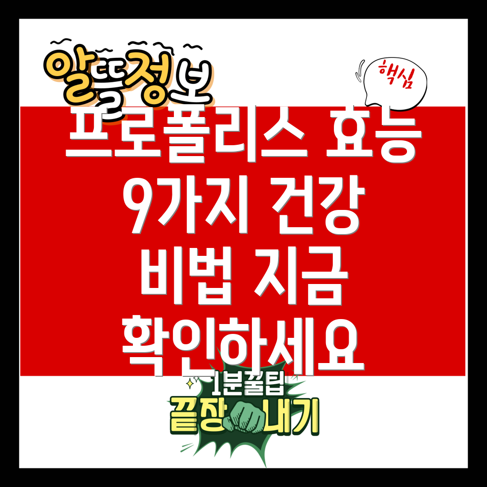 프로폴리스 효능 9가지 건강하게 챙기는 방법