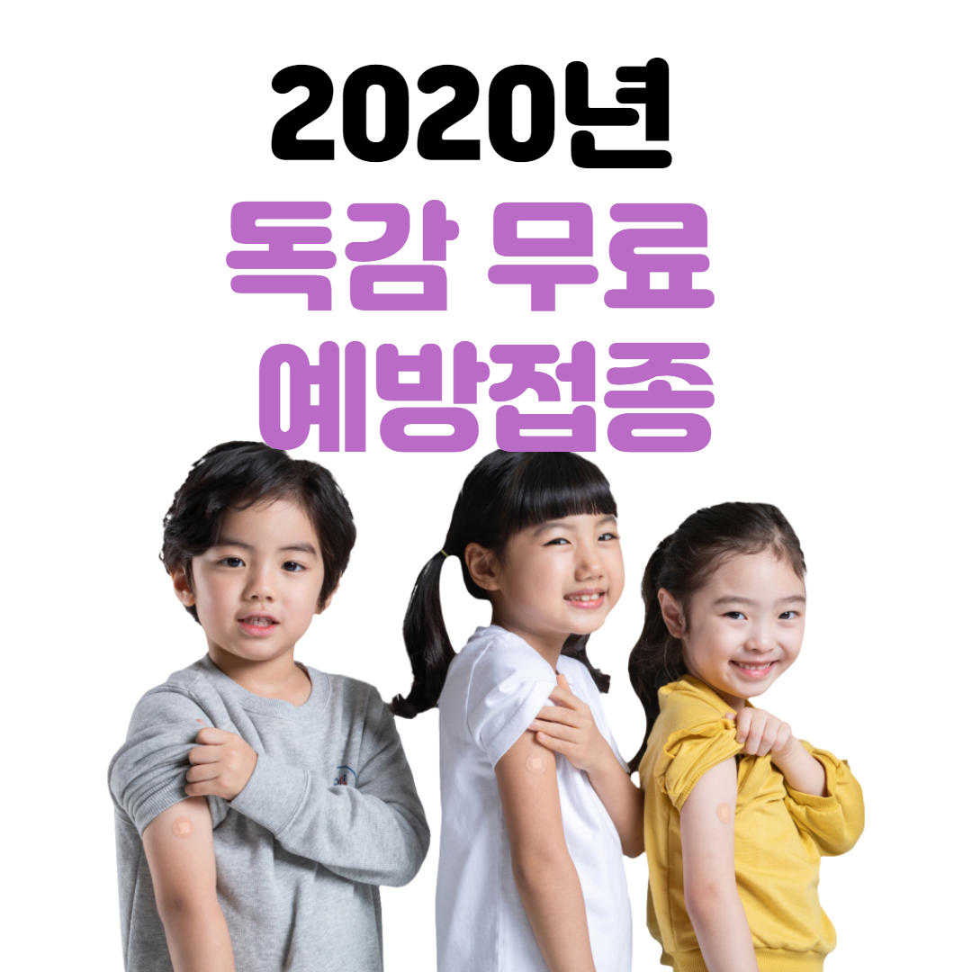 독감 무료 예방접종