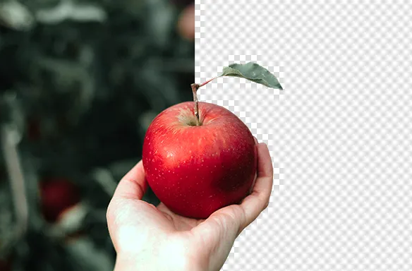 누끼따기 뜻
