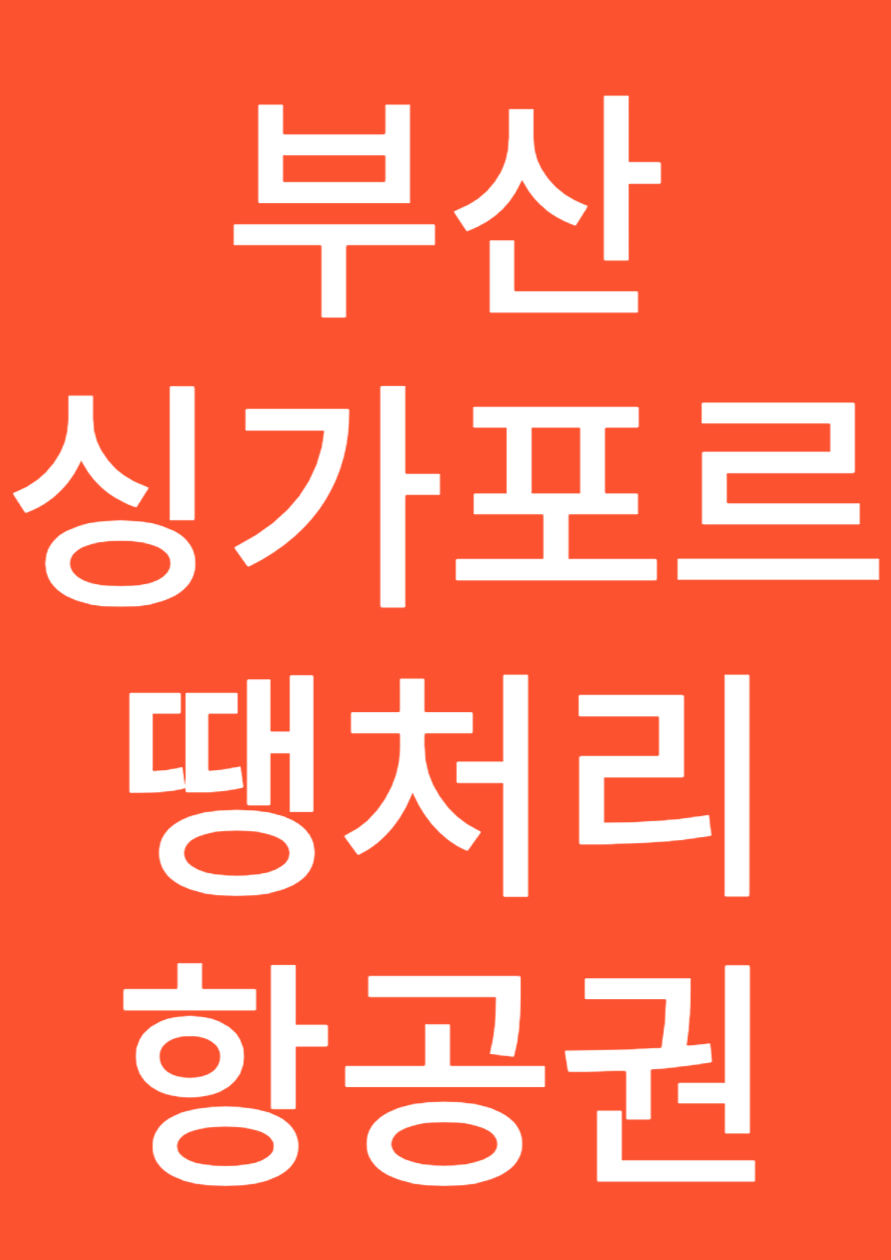 부산 싱가포르 땡처리 항공권