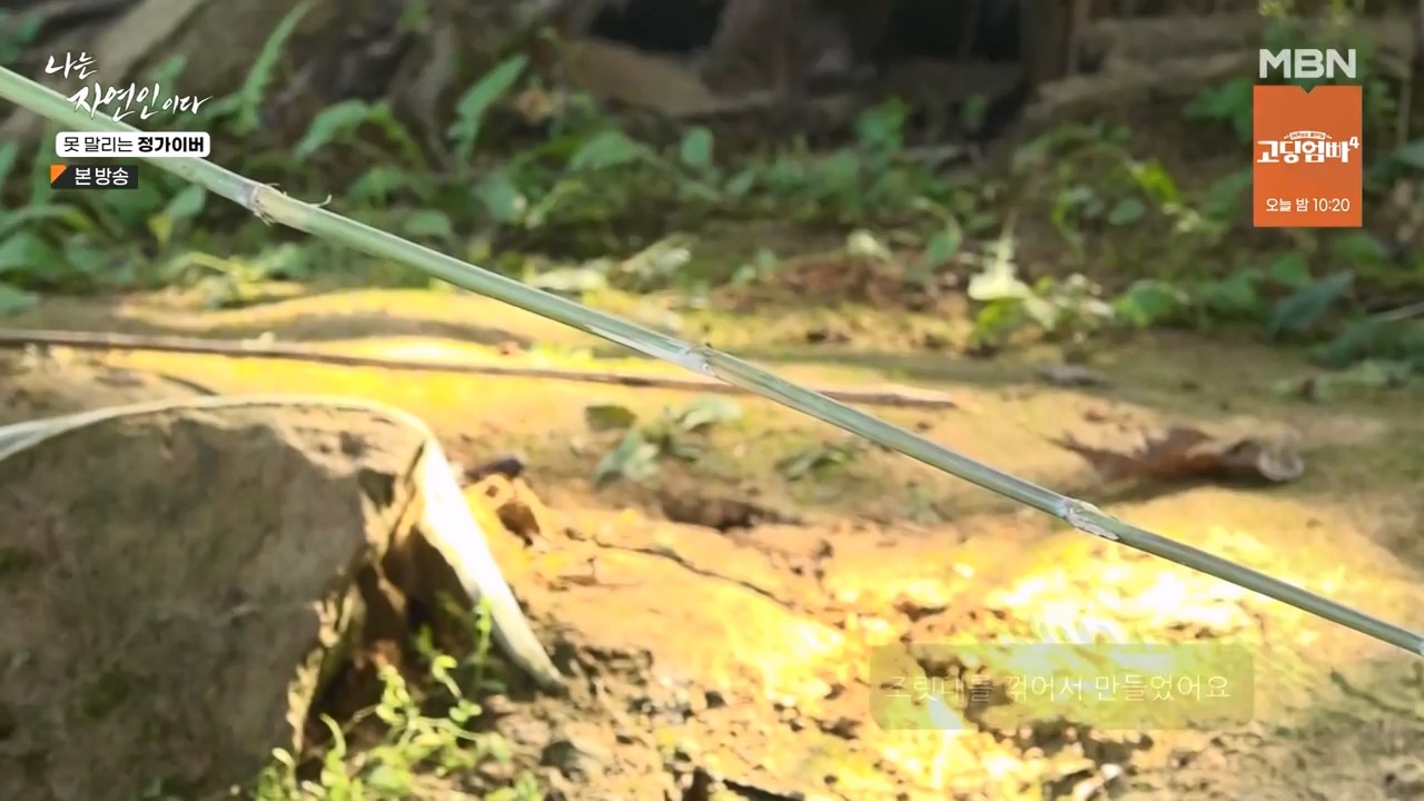 나는 자연인이다.E580.231116p-NEXT.mp4_20231116_202503.118.jpg