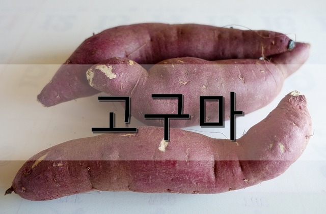  고구마의 영양, 효능, 고르는 방법 등
