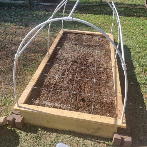 raised bed with square foot grid