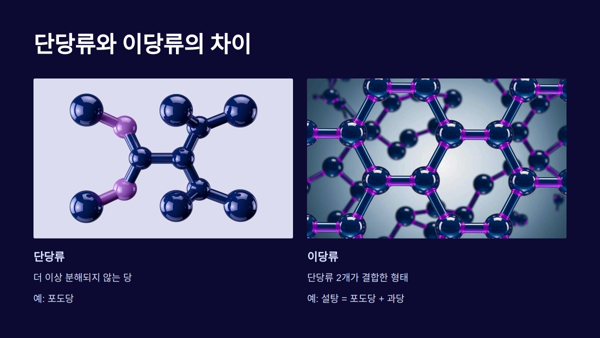 단당류 종류