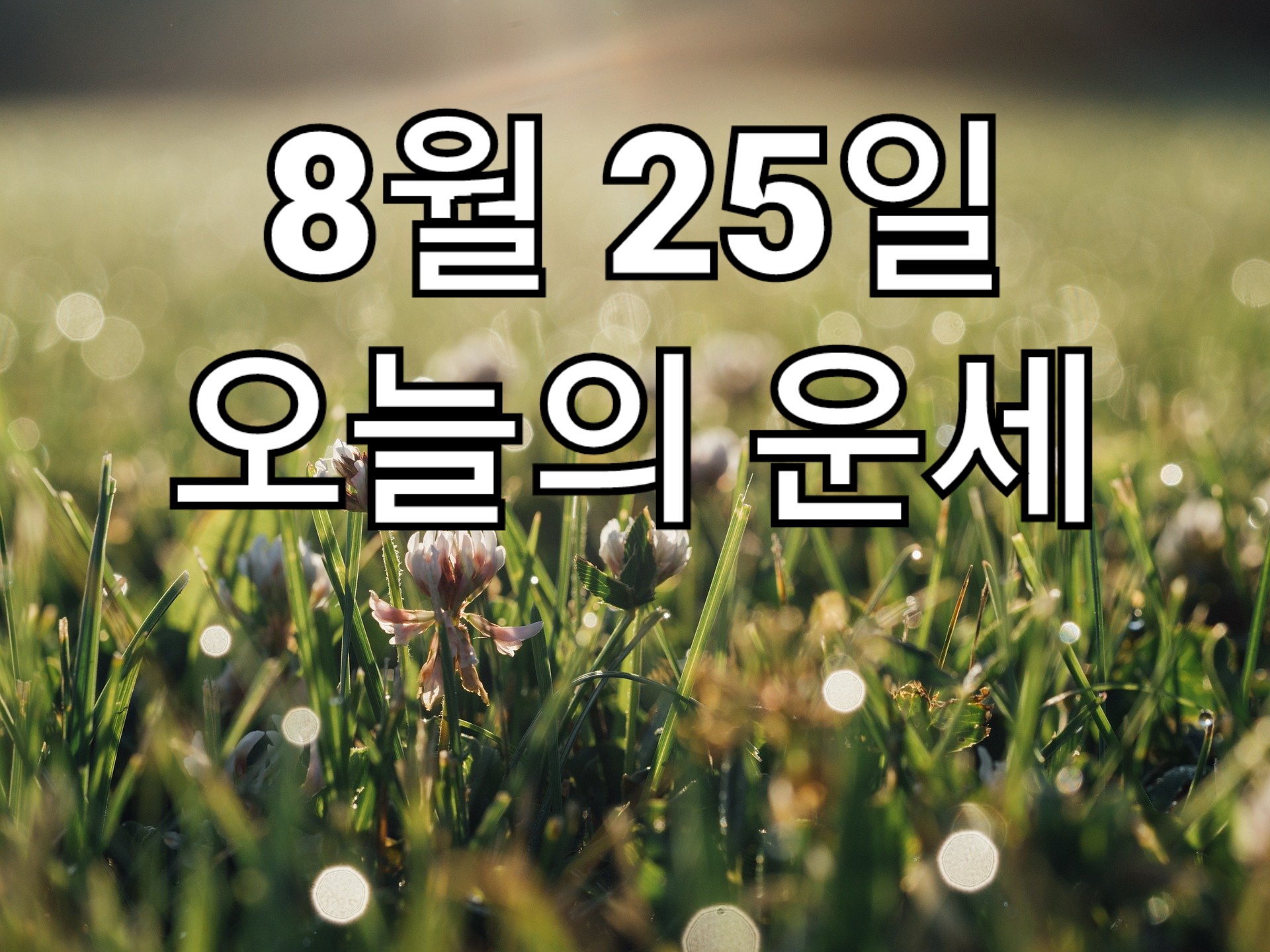  8월 25일 오늘의 운세 띠별운세