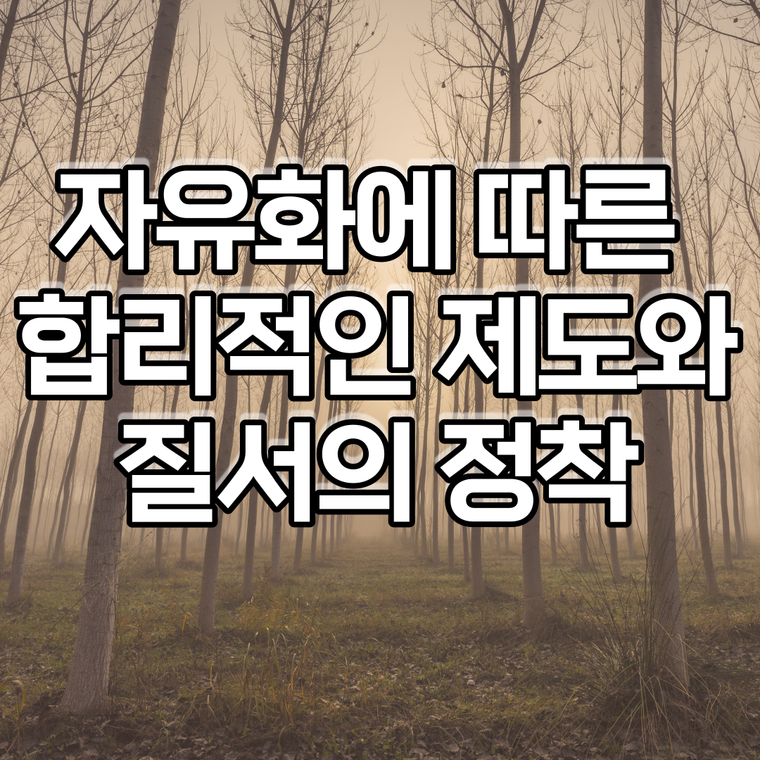  자유화에 따른 합리적인 제도와 질서의 정착