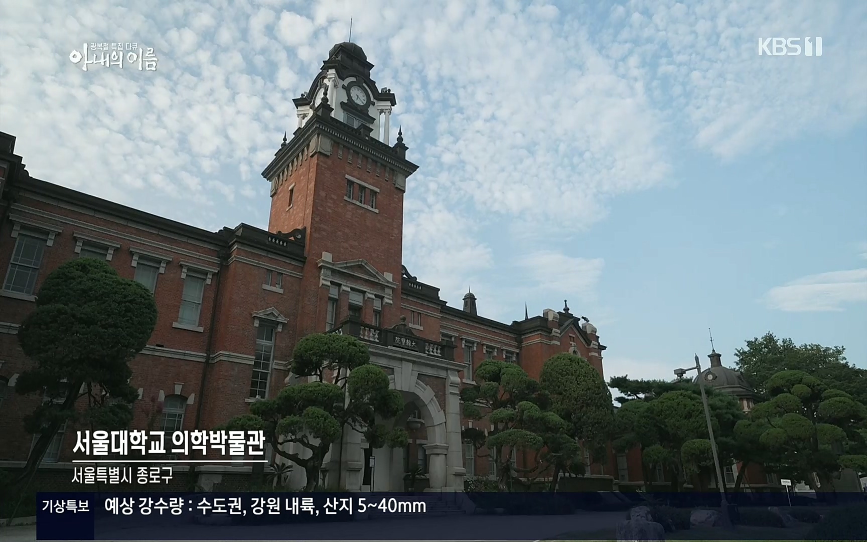광복절 특집 다큐 아내의 이름.220815p.H264-F1RST.mp4_20220822_143354.036.jpg