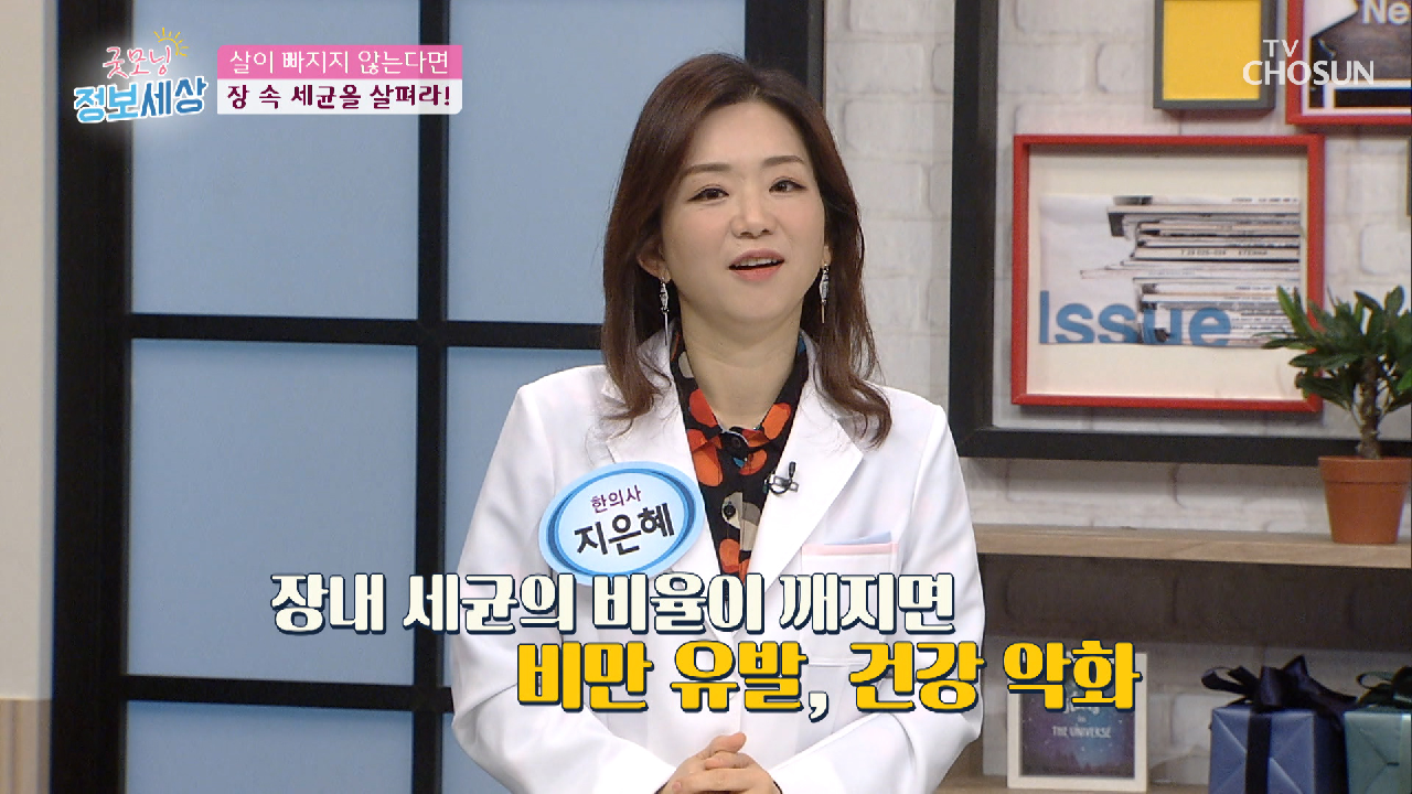  굿모닝 정보세상 다이어트 장 건강 전신 건강 지키는 강진 김효선의 프롤린 유산균 유해균 유익균 효능 효과 비만 질환 장 면역력 향상 음식
