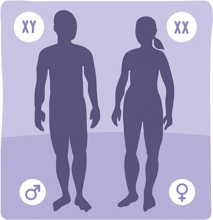 트랜스젠더 남성 (FTM,Female to Male): 전청조
