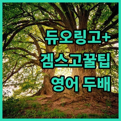 듀오링고+겜스고, 영어 학습 효율 2