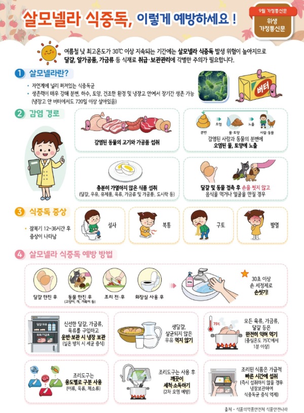  살모넬라 식중독 증상 및 치료