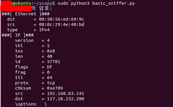 python packet sniffer
