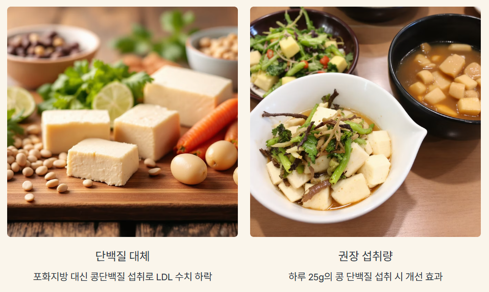 콩류