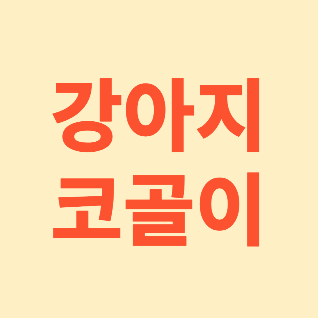 강아지 코골이