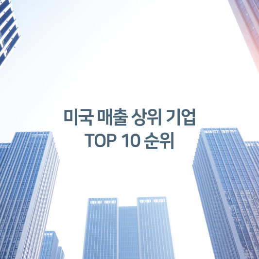 미국 매출 상위 기업 TOP 10 순위