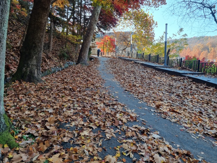 숲-속-공연장-가는-길