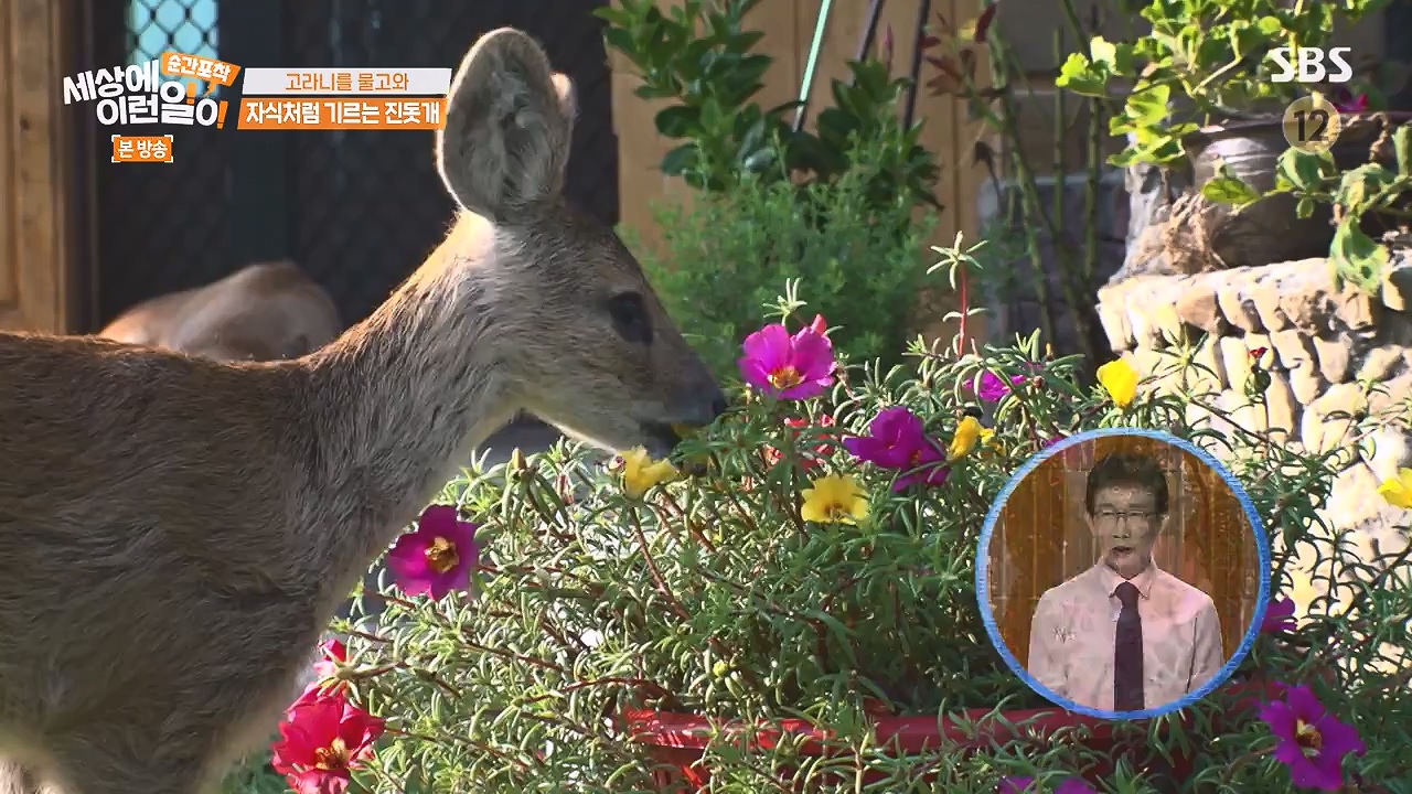 순간포착 세상에 이런일이.E1244.230903p-NEXT.mp4_20230903_173231.380.jpg