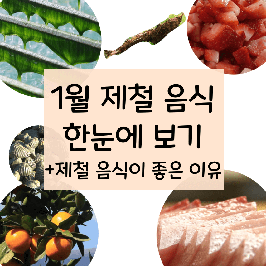 1월제철해산물