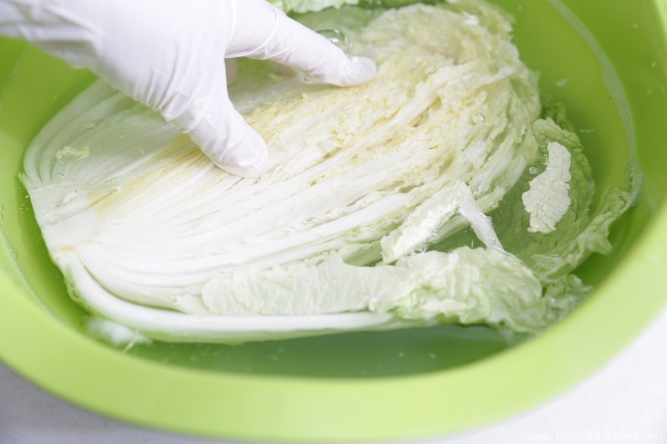 짠맛 김장봉투로 간단하게 속이 꽉 찬 배추절임 배추절임 시간 15