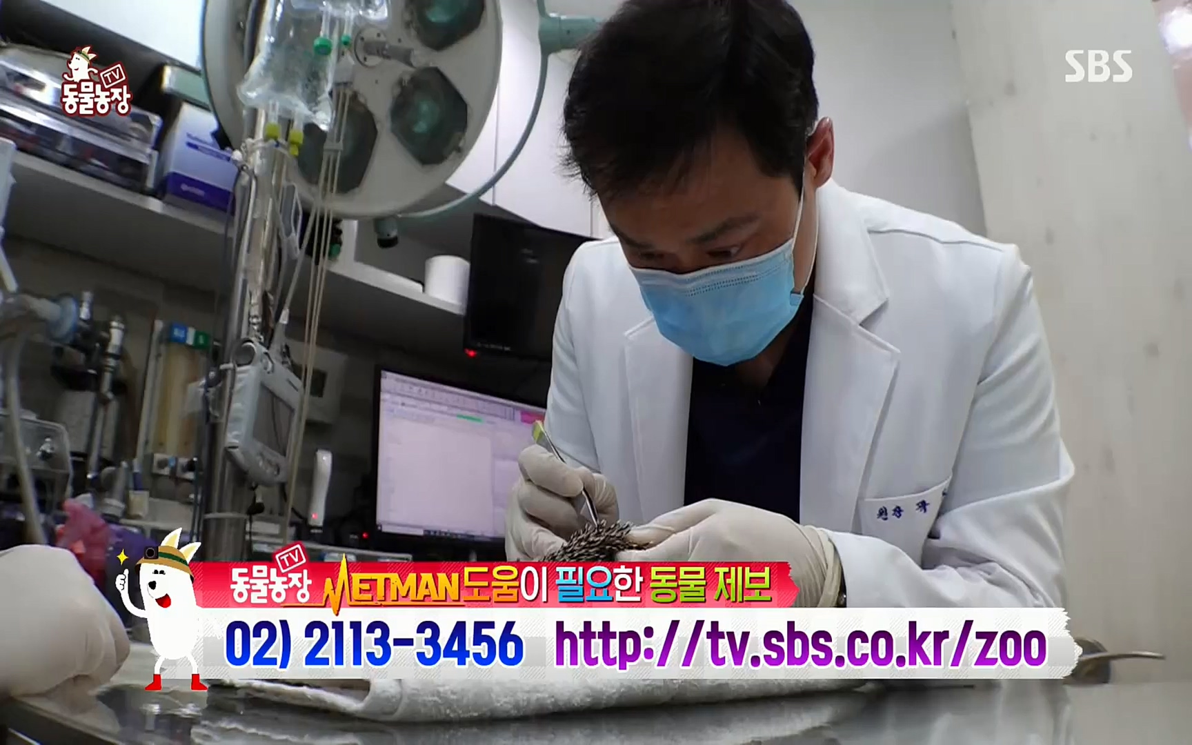 TV 동물농장.E1064.220410p.H264-F1RST.mp4_20220410_184954.057.jpg