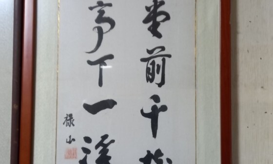 영상일기/20230216/나대자연 73