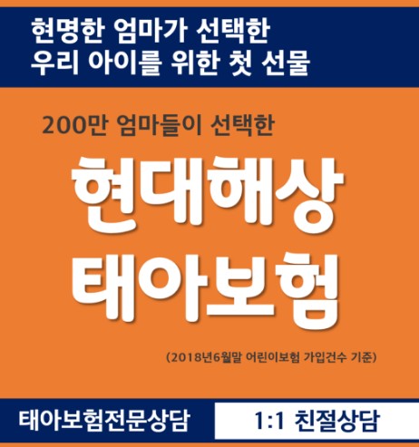  현대해상 태아보험 혜택과 상담