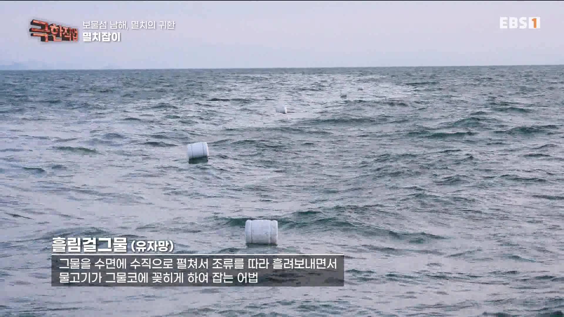 극한 직업 - 보물섬 남해, 멸치의 귀환 1080p.mp4_20230612_202044.166.jpg