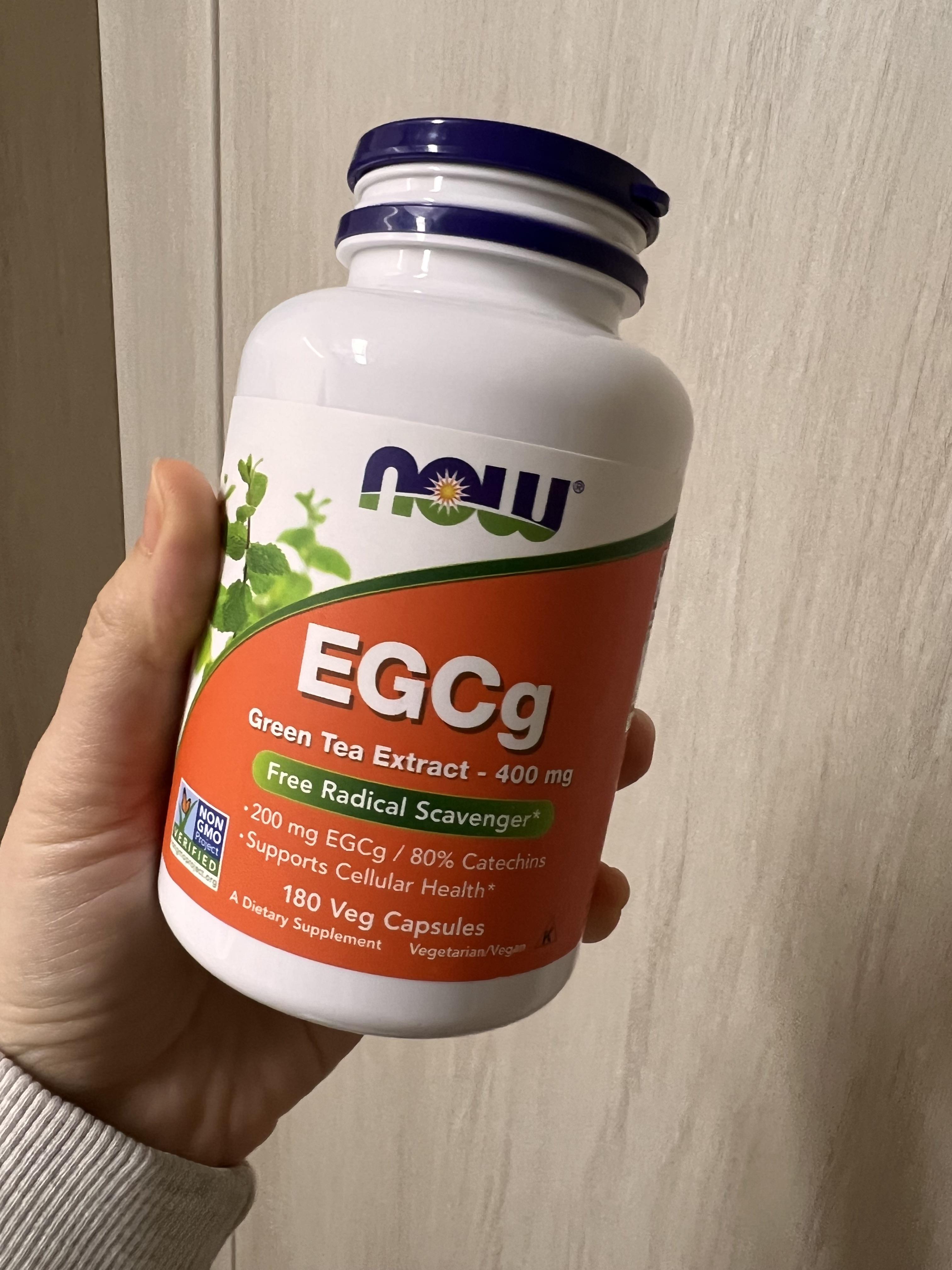 카테킨 EGCG 다이어트 효능 효과 권장량 섭취방법